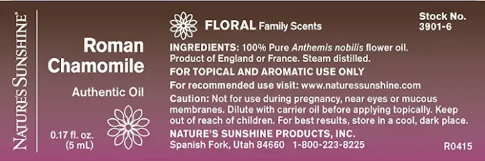 Roman Chamomile - Image 2