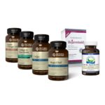 circulatory system kit