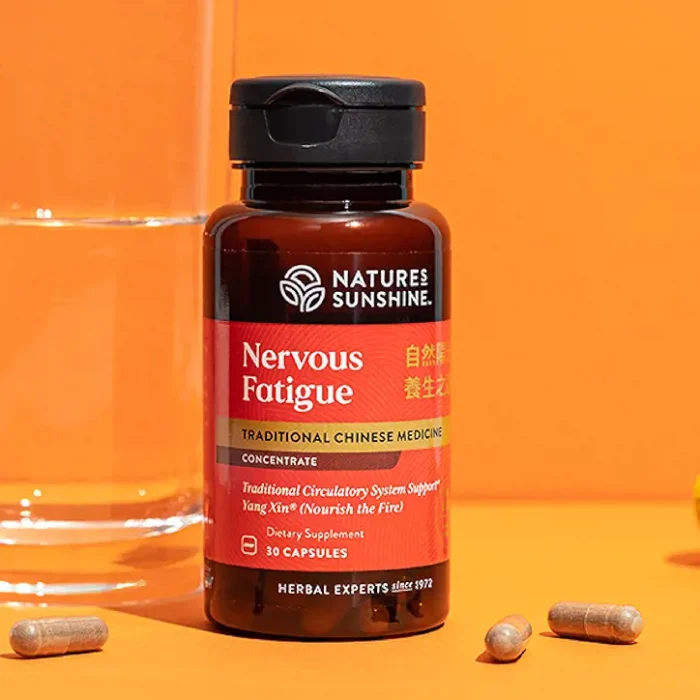1017_NervousFatigueConcentrate_Life1-724 Nervous Fatigue TCM Concentrate - Image 2