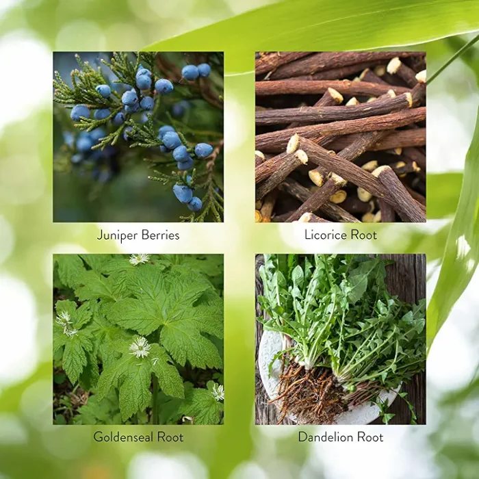 Pro-Pancreas - Image 5