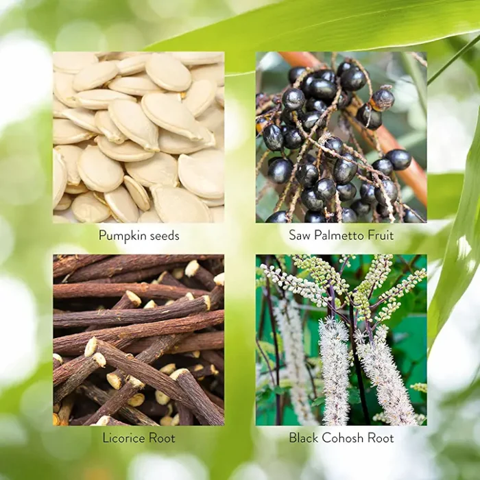 PS II® (Healthy Prostate And Male Glandular) - Image 4