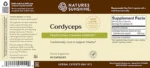 Cordyceps - Image 3
