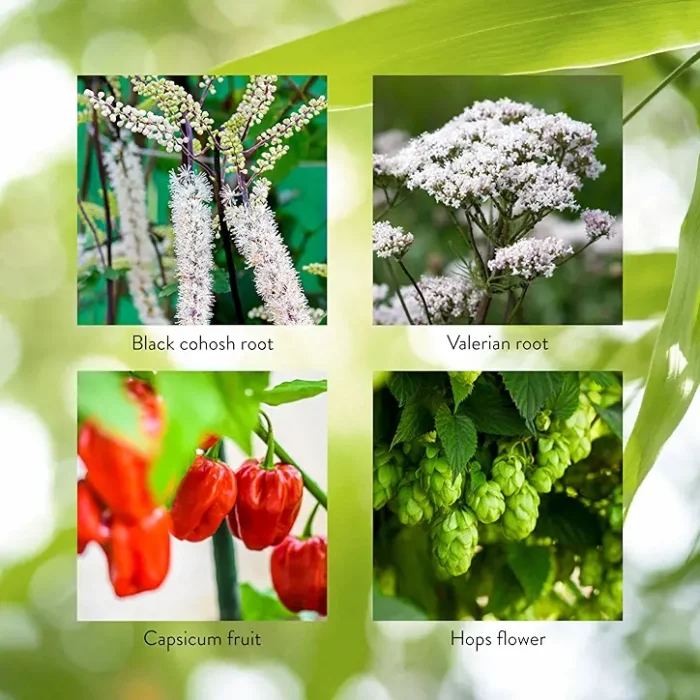 Nerve Control - Image 4