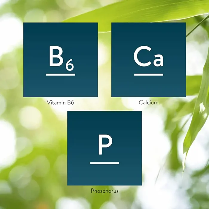 Vitamin B6 - Image 5