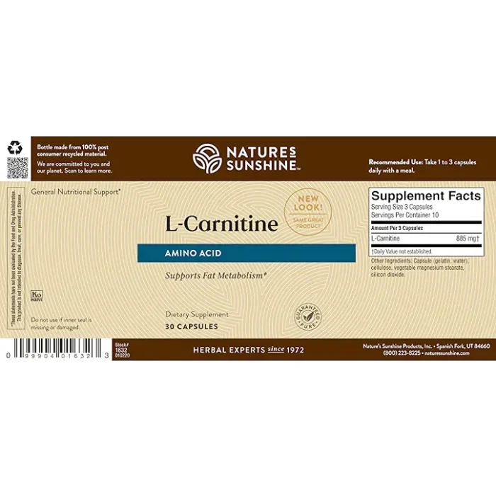 1632-724 l-Carnitine - Image 4