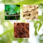 Una de Gato (Cat's Claw) - Image 4