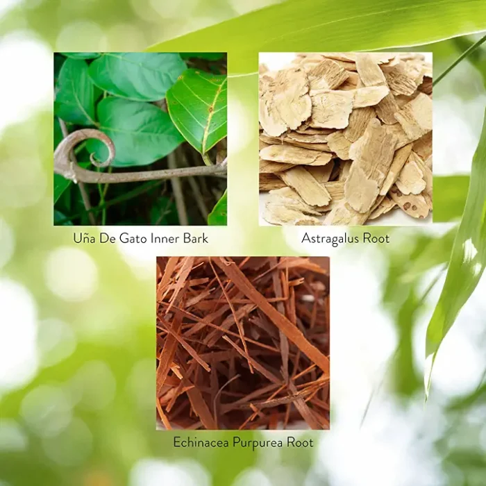 Una de Gato (Cat's Claw) - Image 4