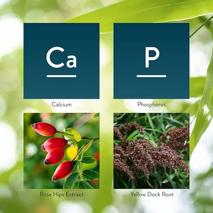 Chelated Iron - Image 5