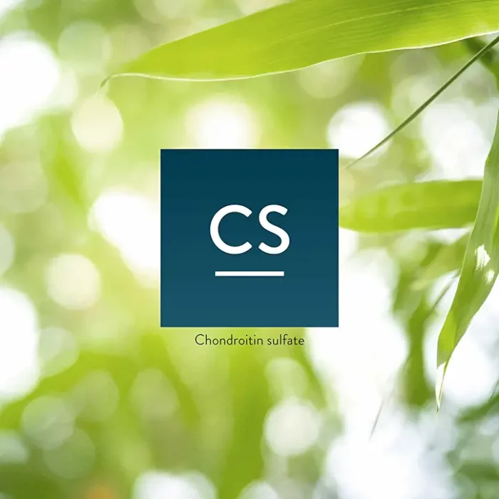 Chondroitin - Image 4