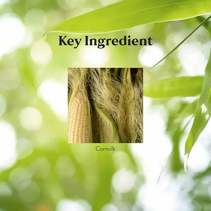 Cornsilk - Image 4