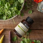 Echinacea Purpurea - Image 2