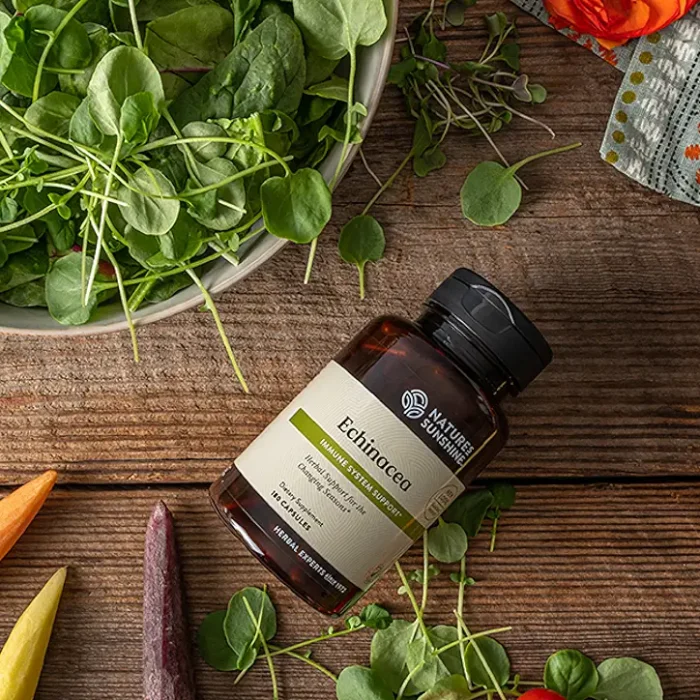 Echinacea Purpurea - Image 2