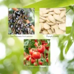 Men's Formula w/ Lycopene - Image 6