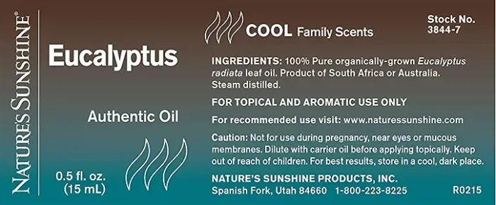 Eucalyptus - Image 2