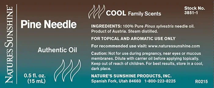 Pine Needle Authentic Essential Oil - Image 2