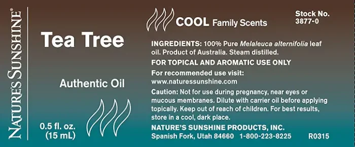 Tea Tree Authentic Essential Oil - Image 2