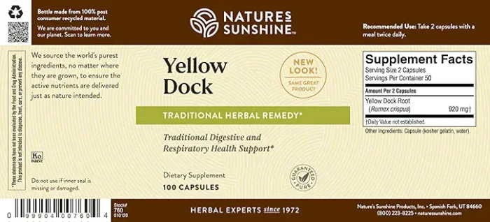 Yellow Dock - Image 3