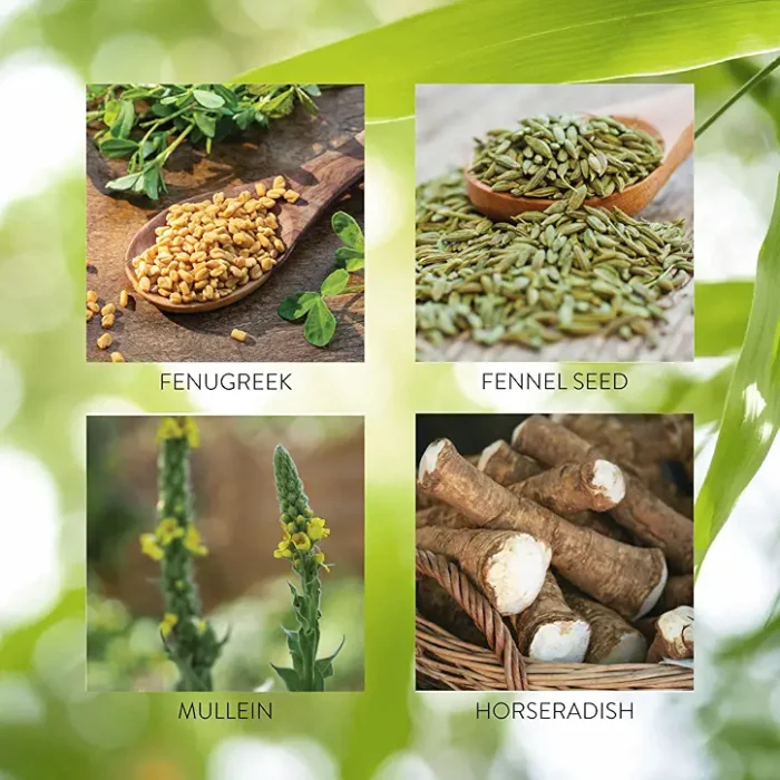 Seasonal Allergy (formerly ALJ VegiTabs®) - Image 5