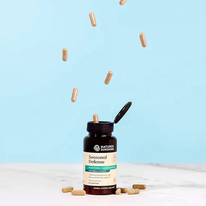 Seasonal Defense - Image 3