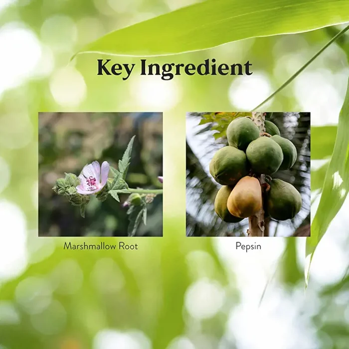 Small Intestine Detox - Image 4