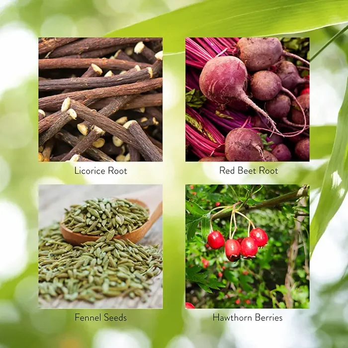 Red Beet Root Formula - Image 5