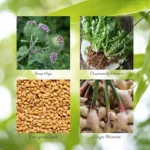 Enviro-Detox® - Image 5