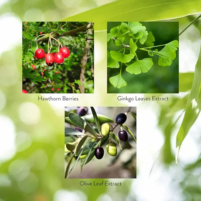 Ginkgo & Hawthorn Combination - Image 7