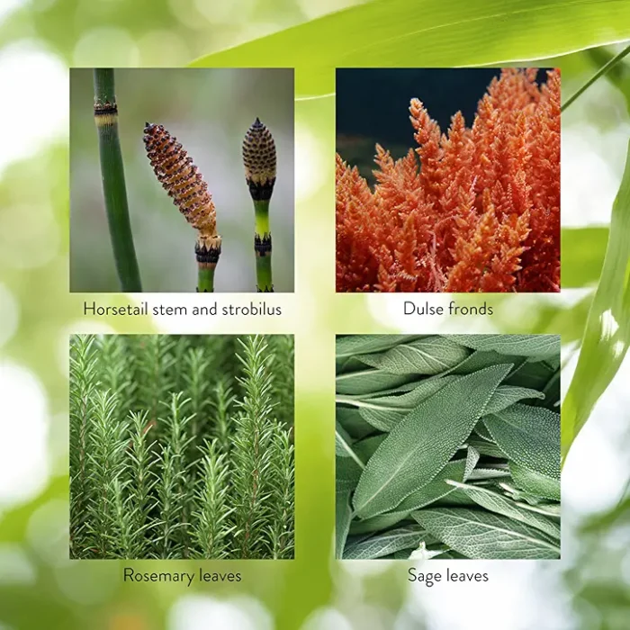 HSN-W® (Hair, Skin & Nails) - Image 6