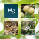 Gentle Move® - Image 4