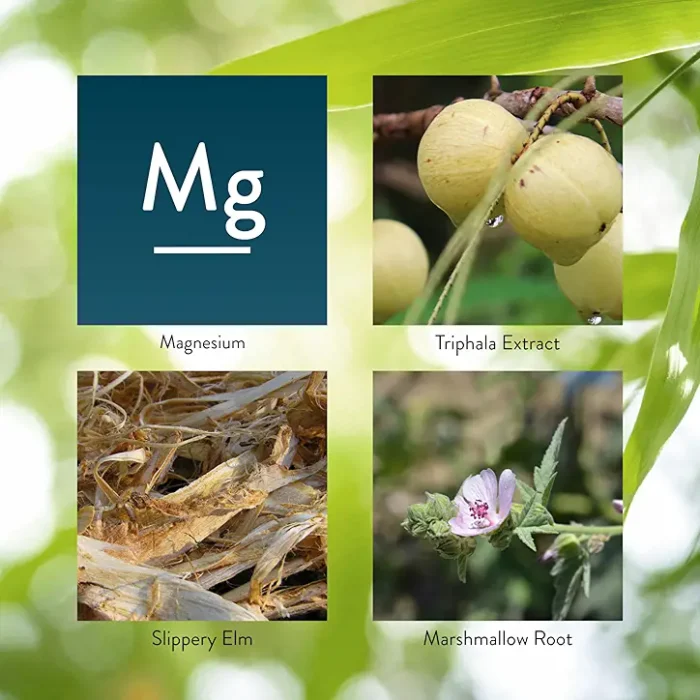 Gentle Move® - Image 4