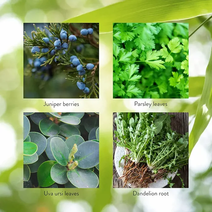 Kidney Activator - Image 5