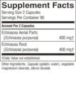 Echinacea Purpurea - Image 3