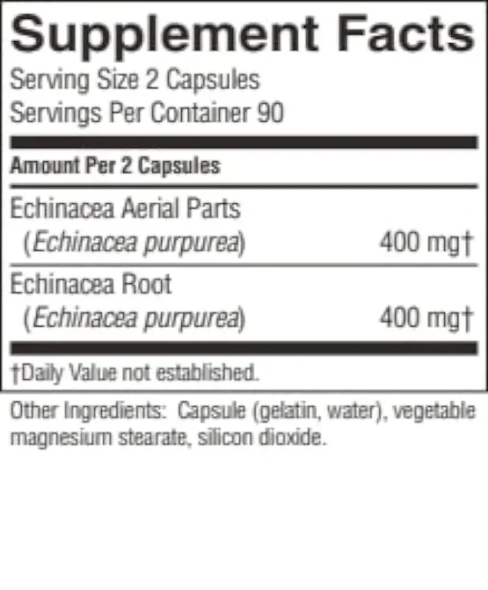 Echinacea Purpurea - Image 3