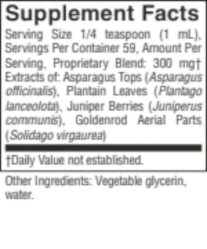 Kidney Drainage - Image 2