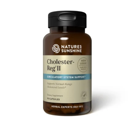 cholesterol supplement