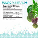 Fulvic Detox Pack - Image 3