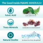 Fulvic Detox Pack - Image 7