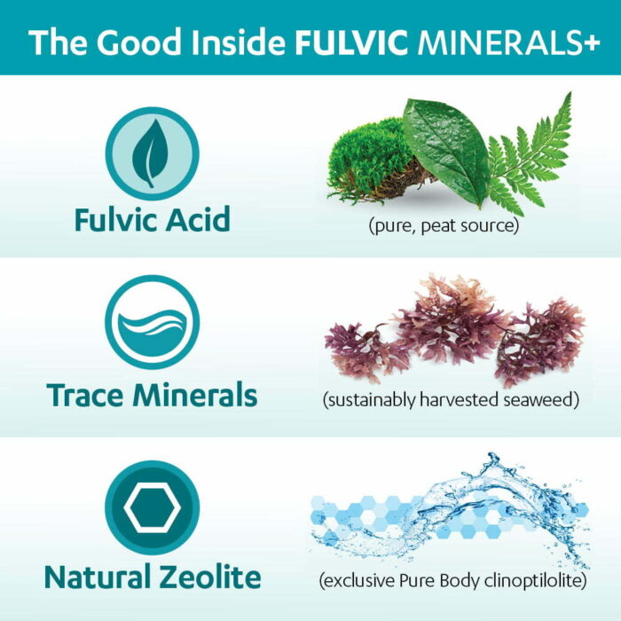 Fulvic Detox Pack - Image 7