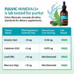 Fulvic Detox Pack - Image 6