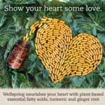 Wellspring - Image 5