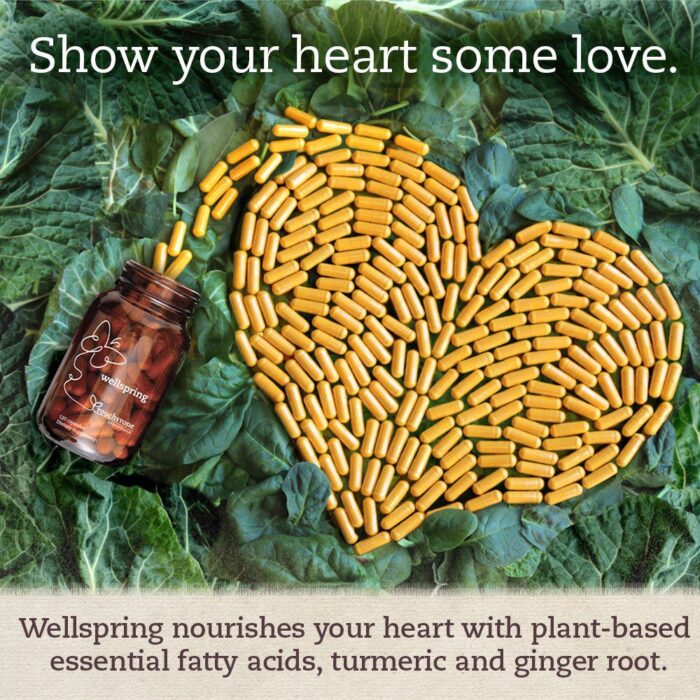 Wellspring - Image 5