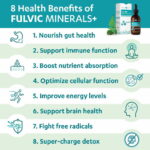 Fulvic Detox Pack - Image 5