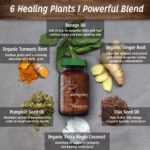 Wellspring - Image 3