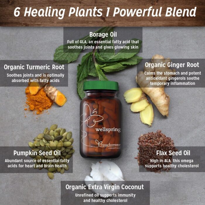 Wellspring - Image 3