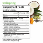 Wellspring - Image 2