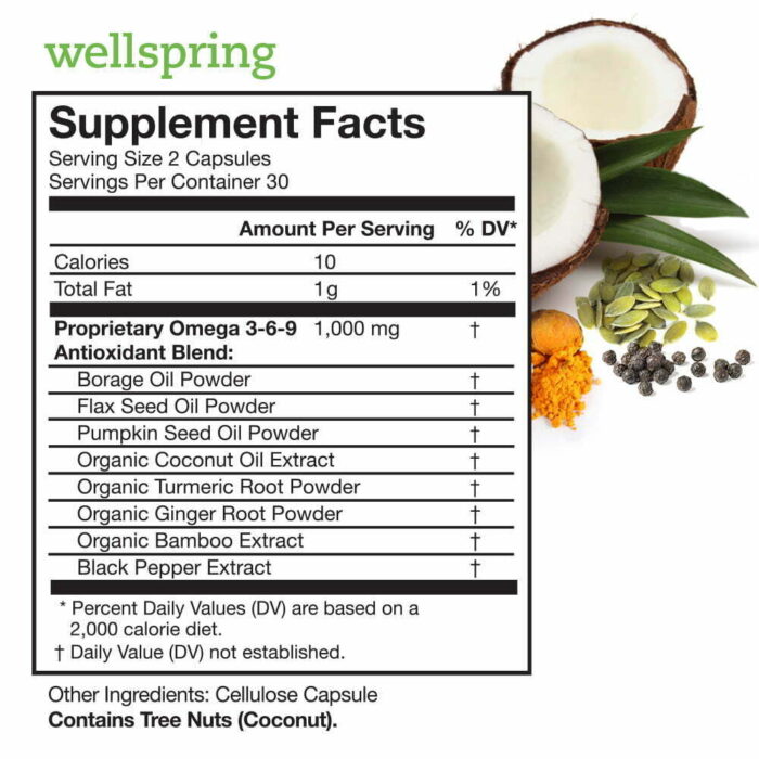 Wellspring - Image 2