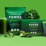 Vegetable protein powder