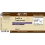 Bacillus Coagulans - Image 4