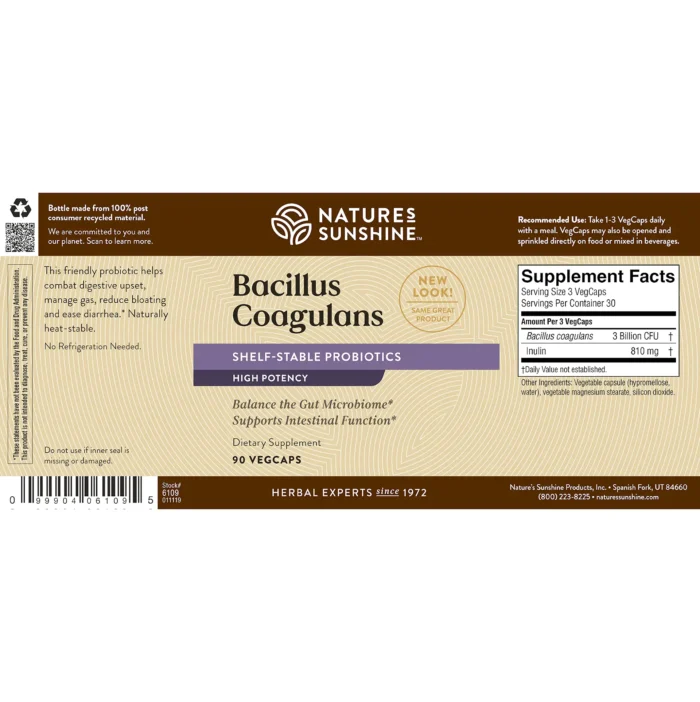 6109-1920 Bacillus Coagulans - Image 4