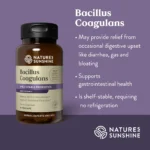 Bacillus Coagulans - Image 2